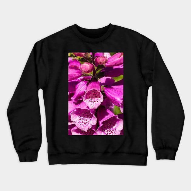 Foxglove (Digitalis purpurea) Crewneck Sweatshirt by thadz